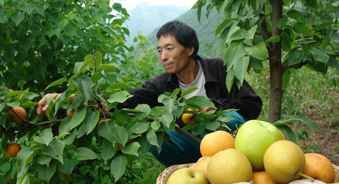 20120713081950843.jpg