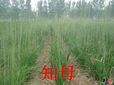u=1347819124,2556987482&fm=27&gp=0.jpg
