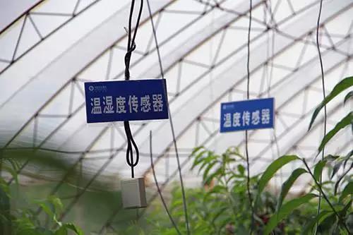 微信图片_20180619100153.jpg