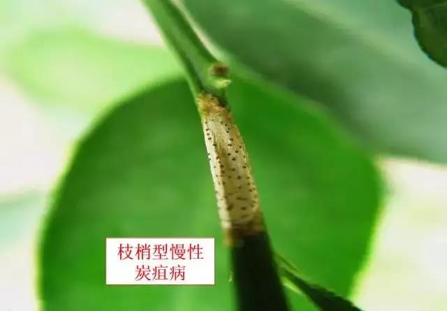 微信图片_20180619161016.jpg