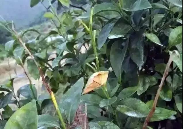 微信图片_20180619161036.jpg