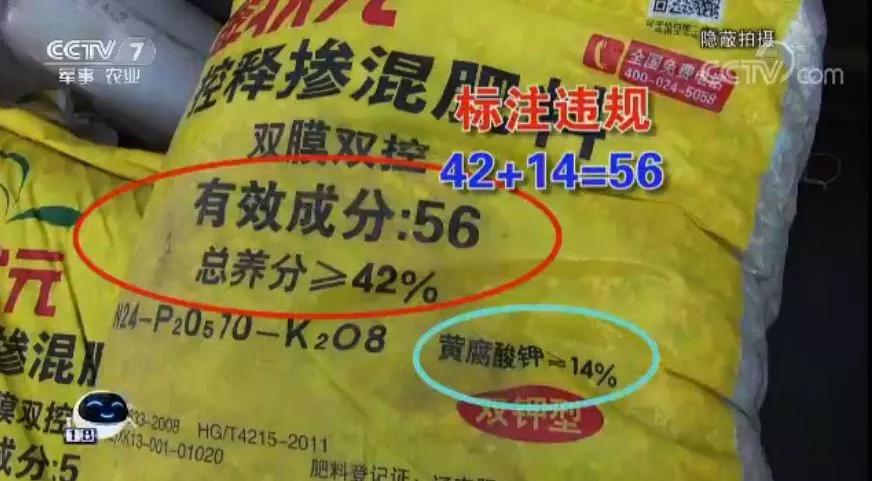 88.jpg