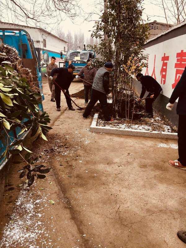 人勤春来早 新年谱新篇  &mdash;&mdash;平顶山市高新区遵化店镇大力推进国土绿化森林生态建设工作