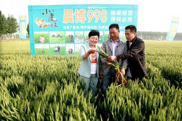 晨博种业创业十周年庆典暨小麦观摩会在新乡成功举办