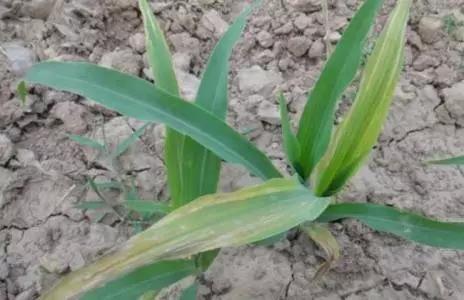 1559004700631022446.jpg 0502.jpg