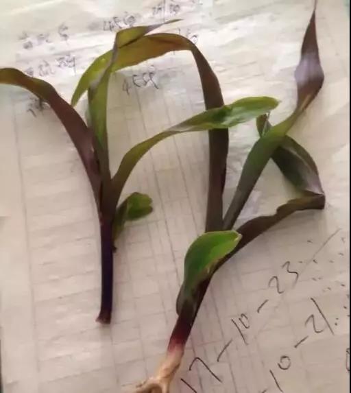 1559004798563014357.jpg 0510.jpg