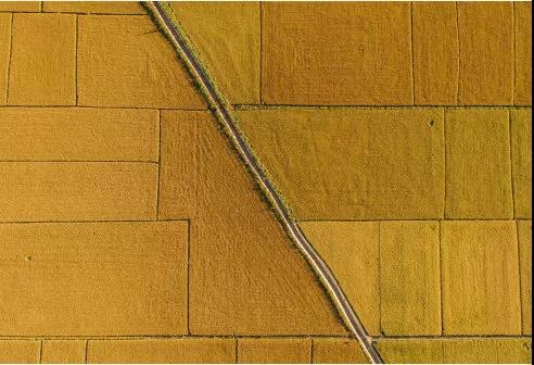 1559091106510010598.jpg 05.jpg