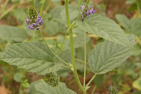 1596615845793050108.png image.png