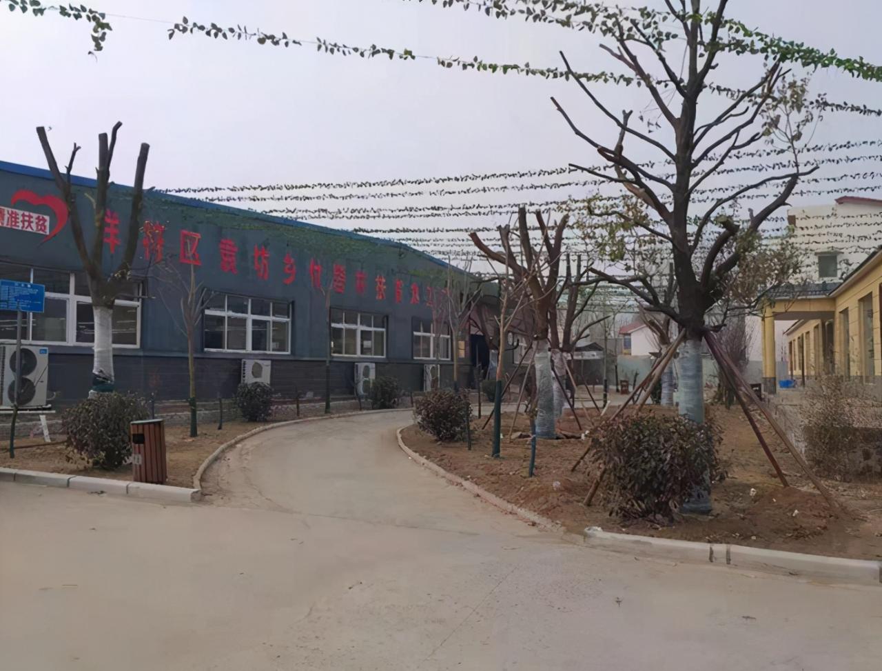 河南开封：植树造林添绿 乡村振兴增活力