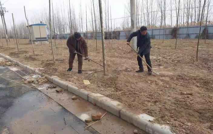 河南开封：植树造林添绿 乡村振兴增活力